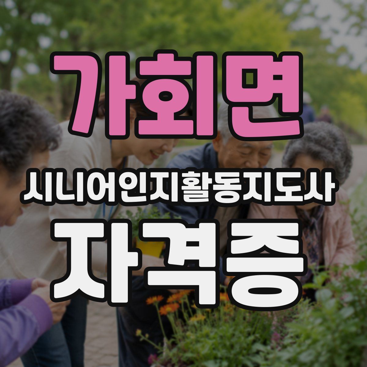 가회면 시니어인지활동지도사 자격증