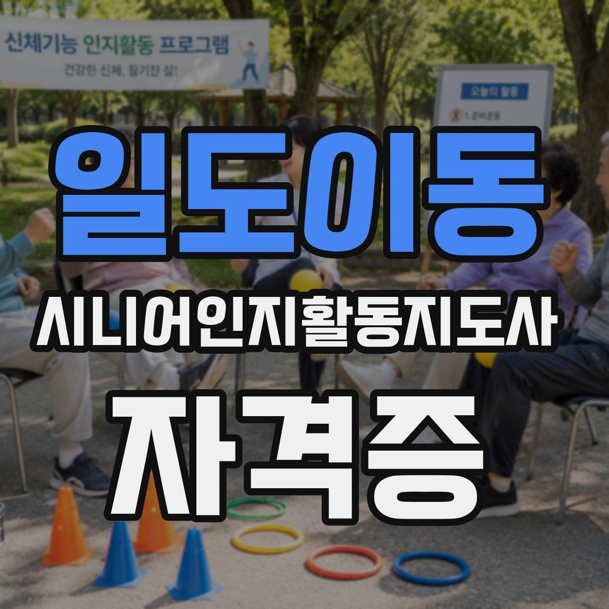 일도이동 시니어인지활동지도사 자격증