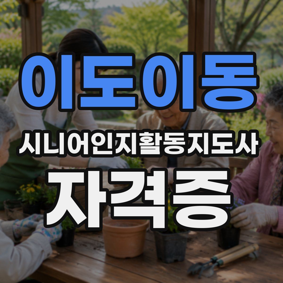 이도이동 시니어인지활동지도사 자격증