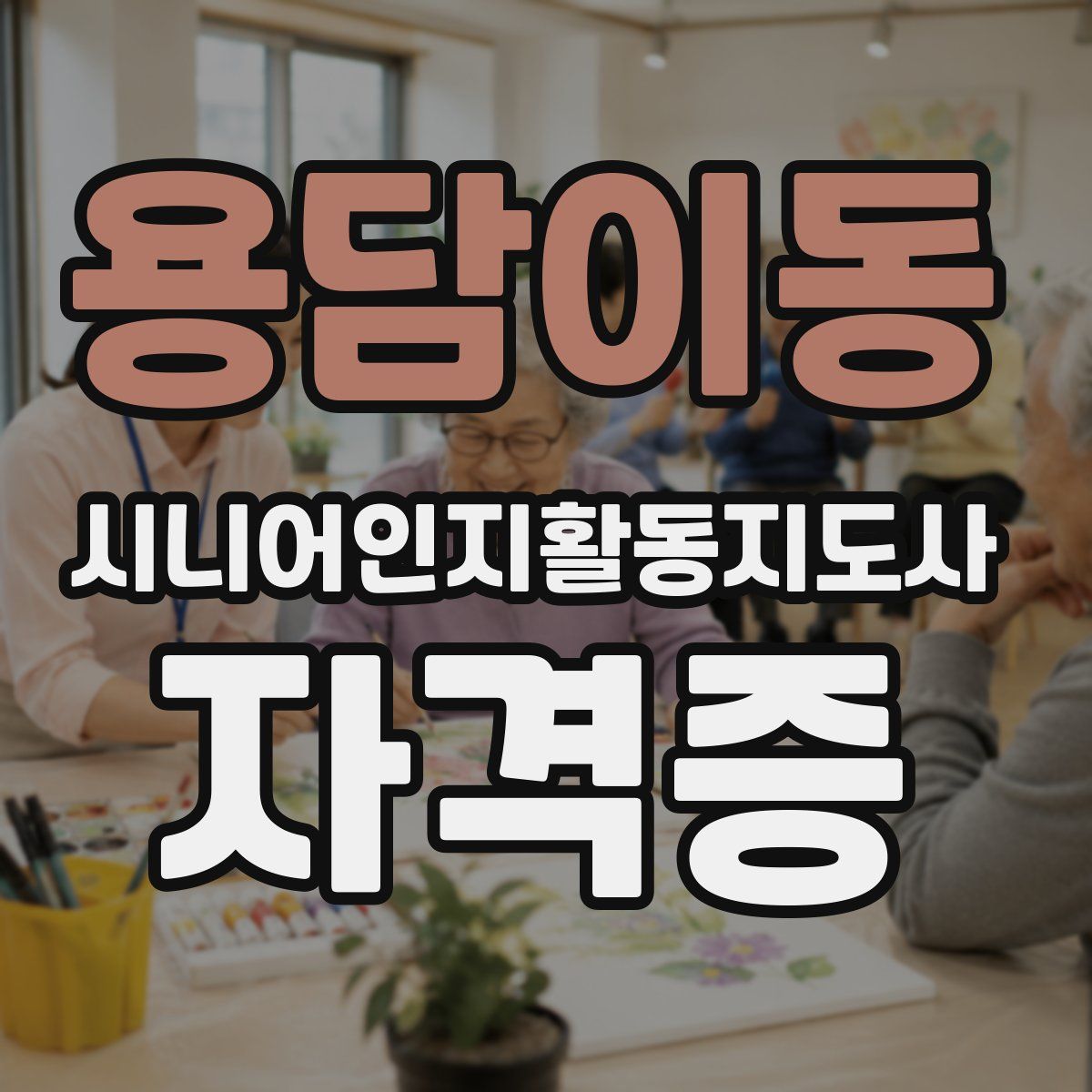 용담이동 시니어인지활동지도사 자격증