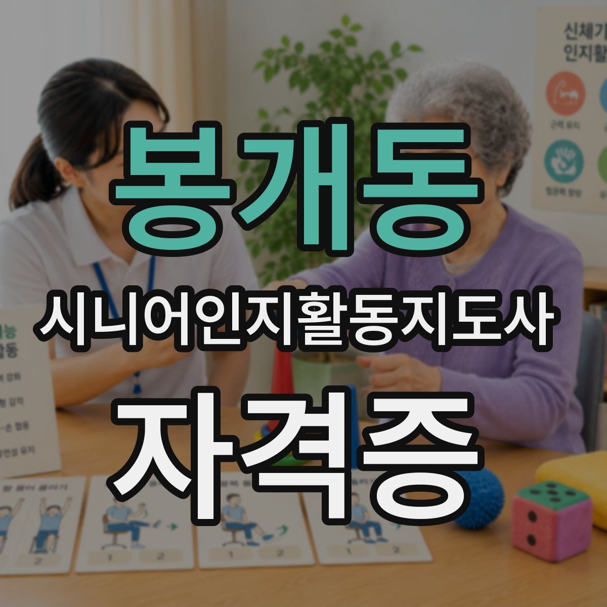 봉개동 시니어인지활동지도사 자격증