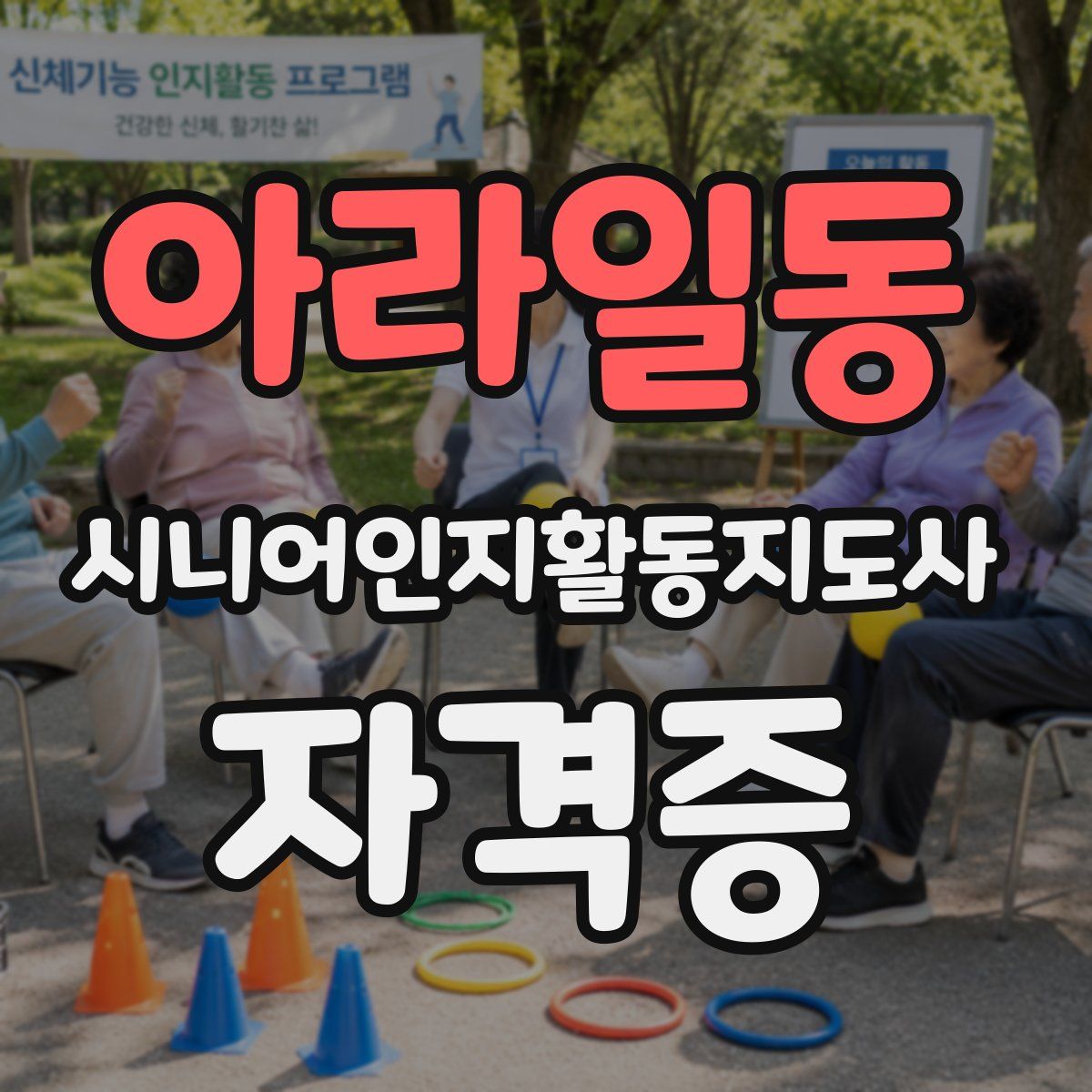 아라일동 시니어인지활동지도사 자격증