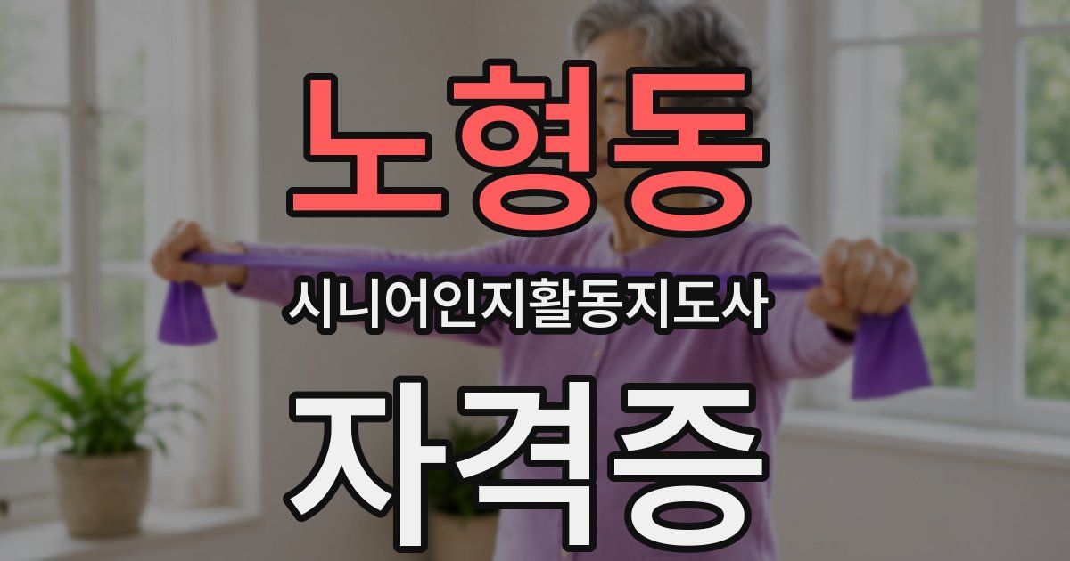 노형동 시니어인지활동지도사 자격증