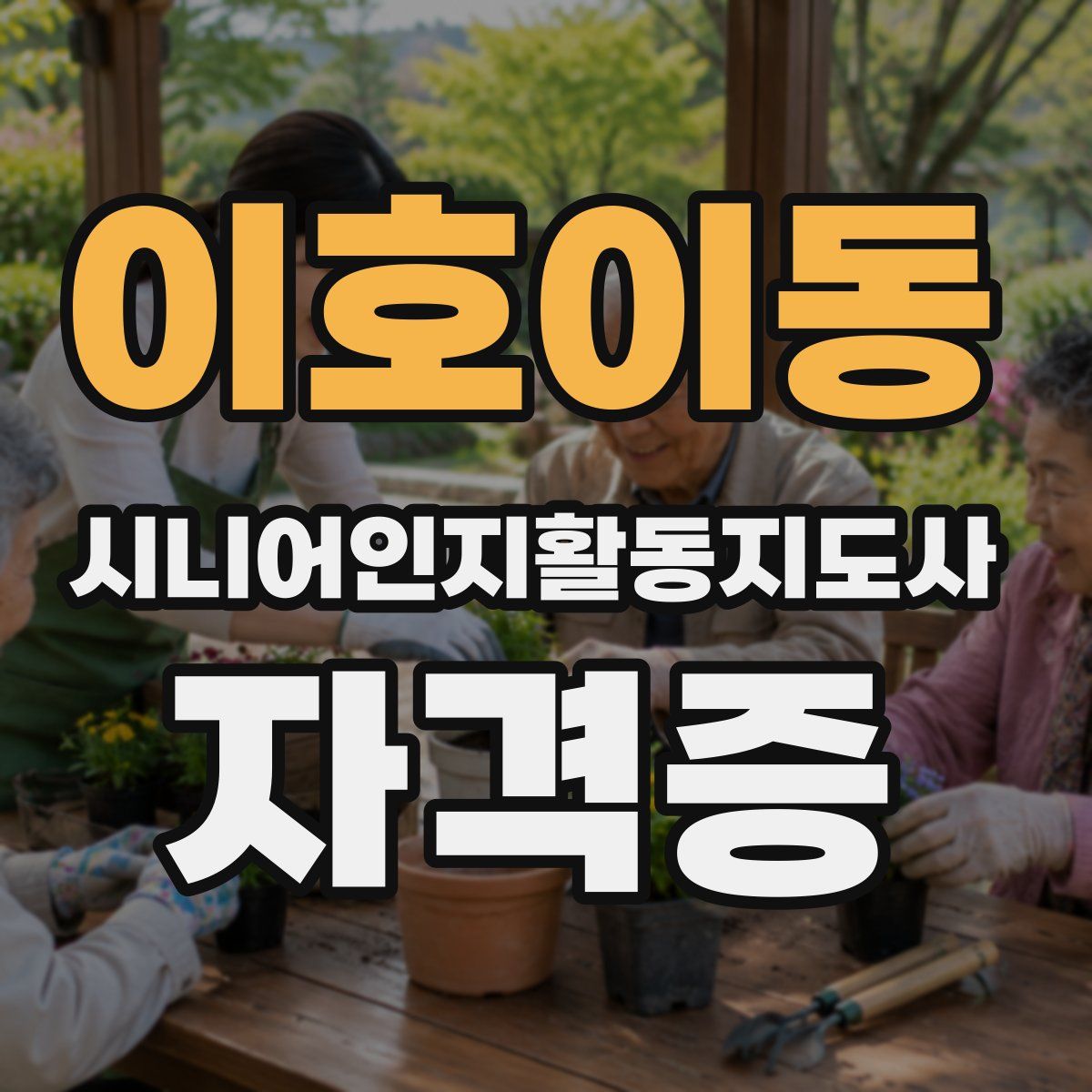이호이동 시니어인지활동지도사 자격증