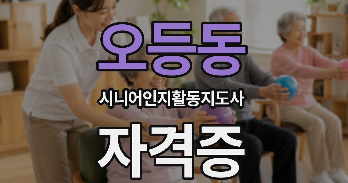 오등동 시니어인지활동지도사 자격증