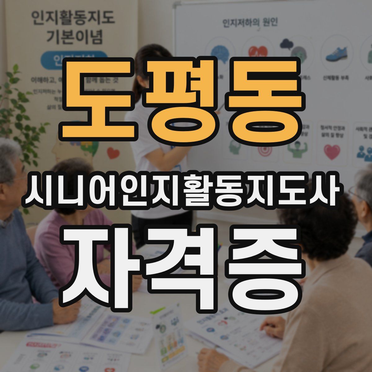 도평동 시니어인지활동지도사 자격증