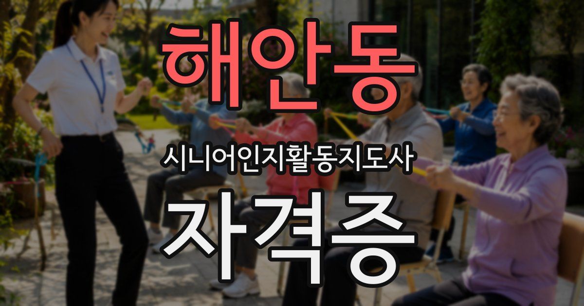 해안동 시니어인지활동지도사 자격증