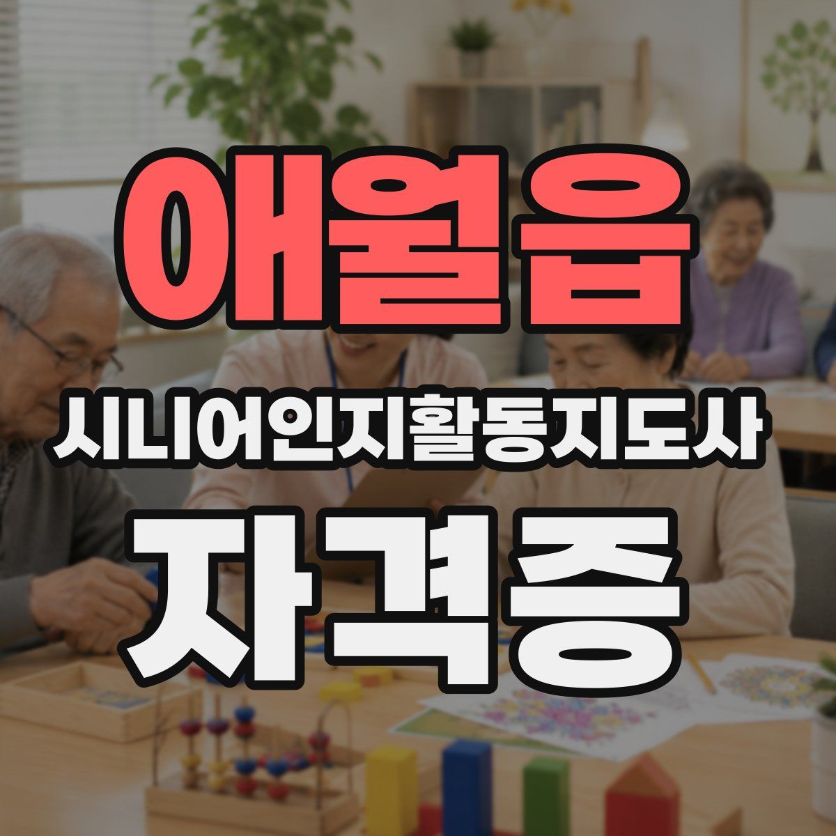 애월읍 시니어인지활동지도사 자격증