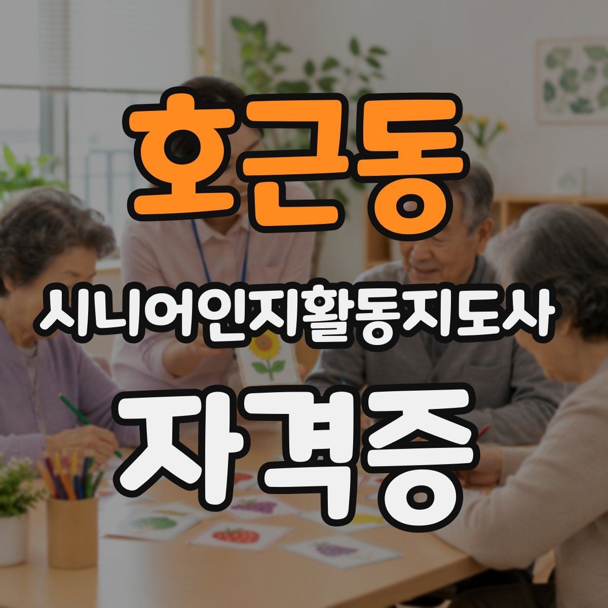 호근동 시니어인지활동지도사 자격증 관련 제도와 기본 용어