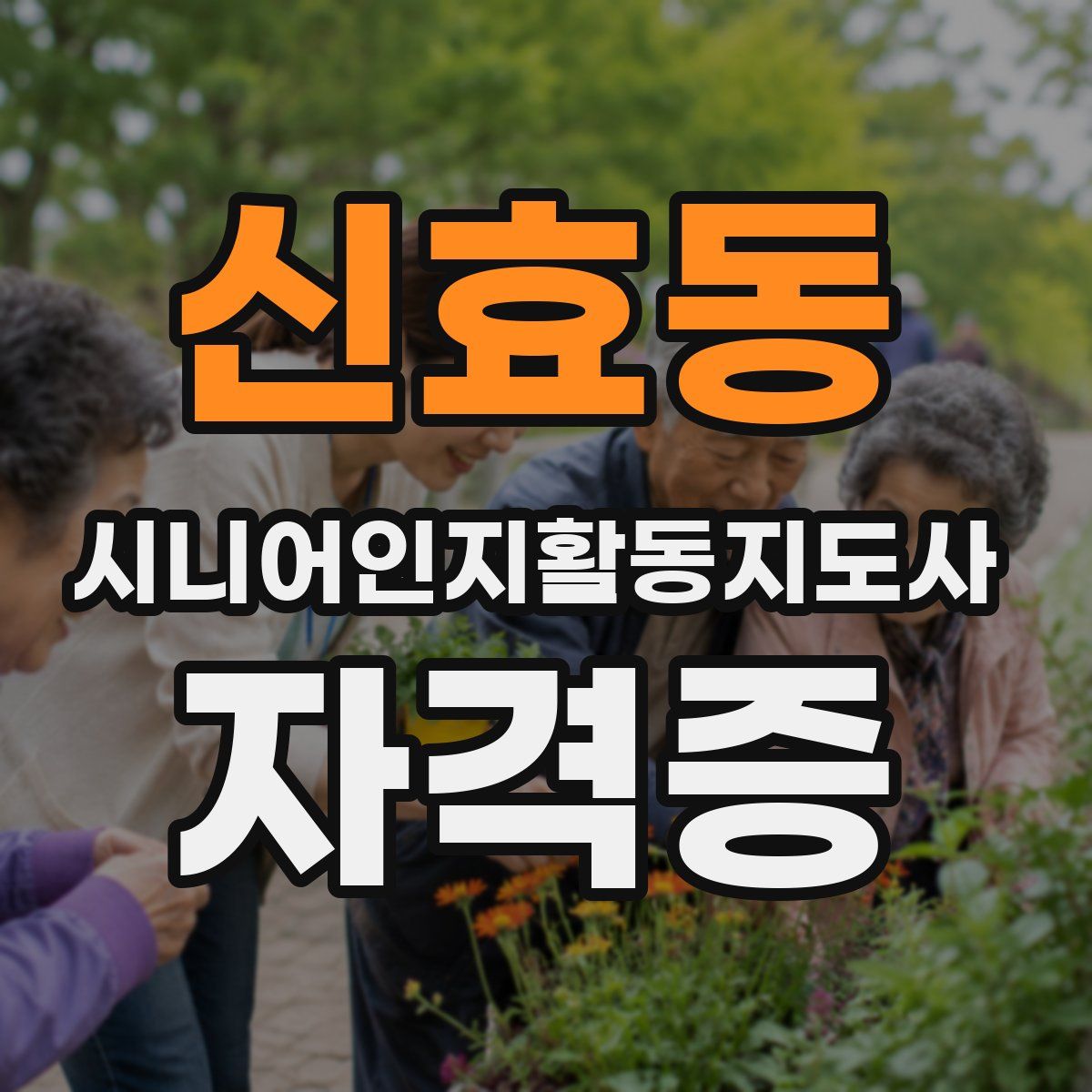 신효동 시니어인지활동지도사 자격증