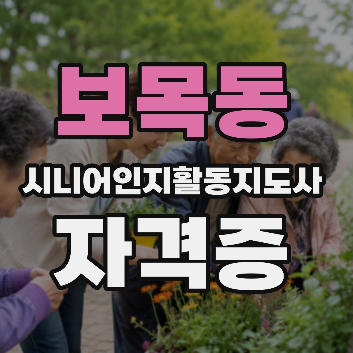 보목동 시니어인지활동지도사 자격증