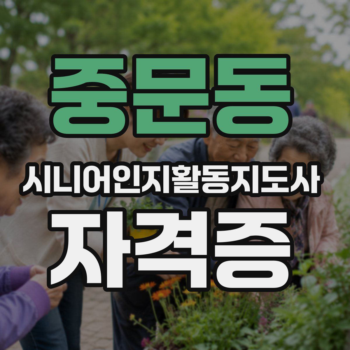 중문동 시니어인지활동지도사 자격증