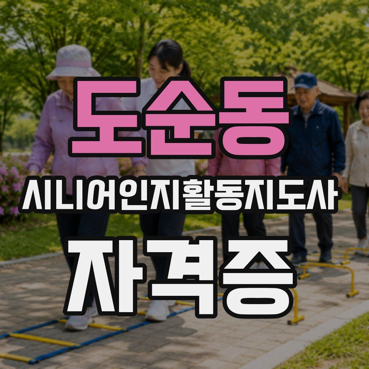 도순동 시니어인지활동지도사 자격증