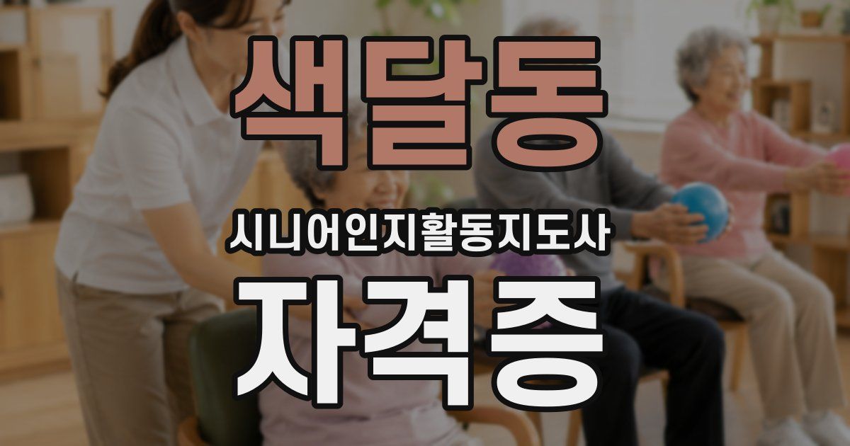 색달동 시니어인지활동지도사 자격증