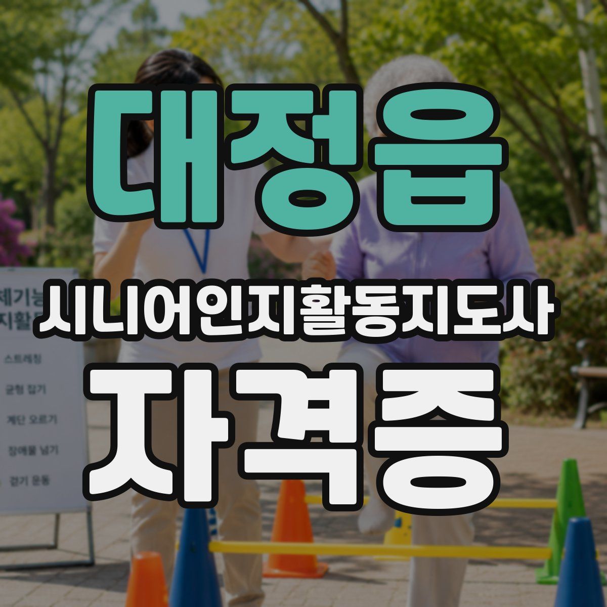 대정읍 시니어인지활동지도사 자격증