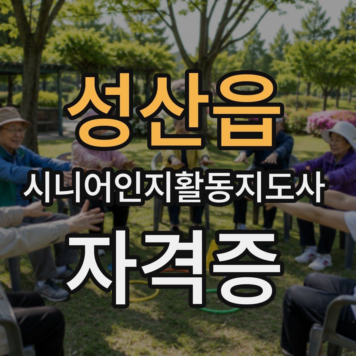 성산읍 시니어인지활동지도사 자격증 학원과 독학 선택 기준