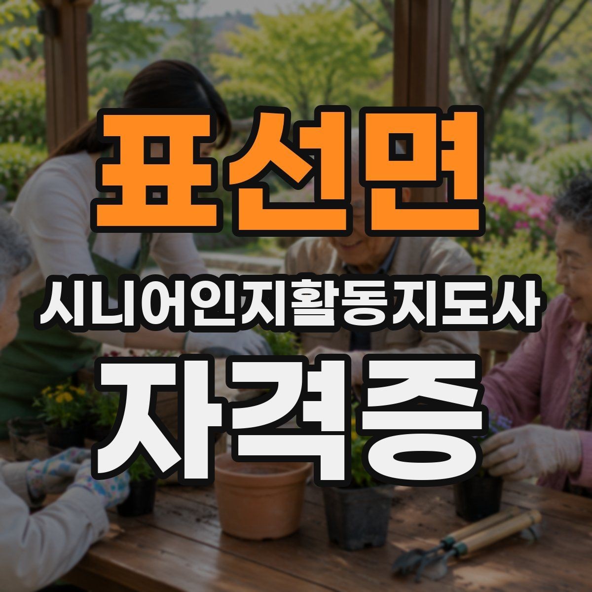 표선면 시니어인지활동지도사 자격증 공부가 처음인 분을 위한 안내