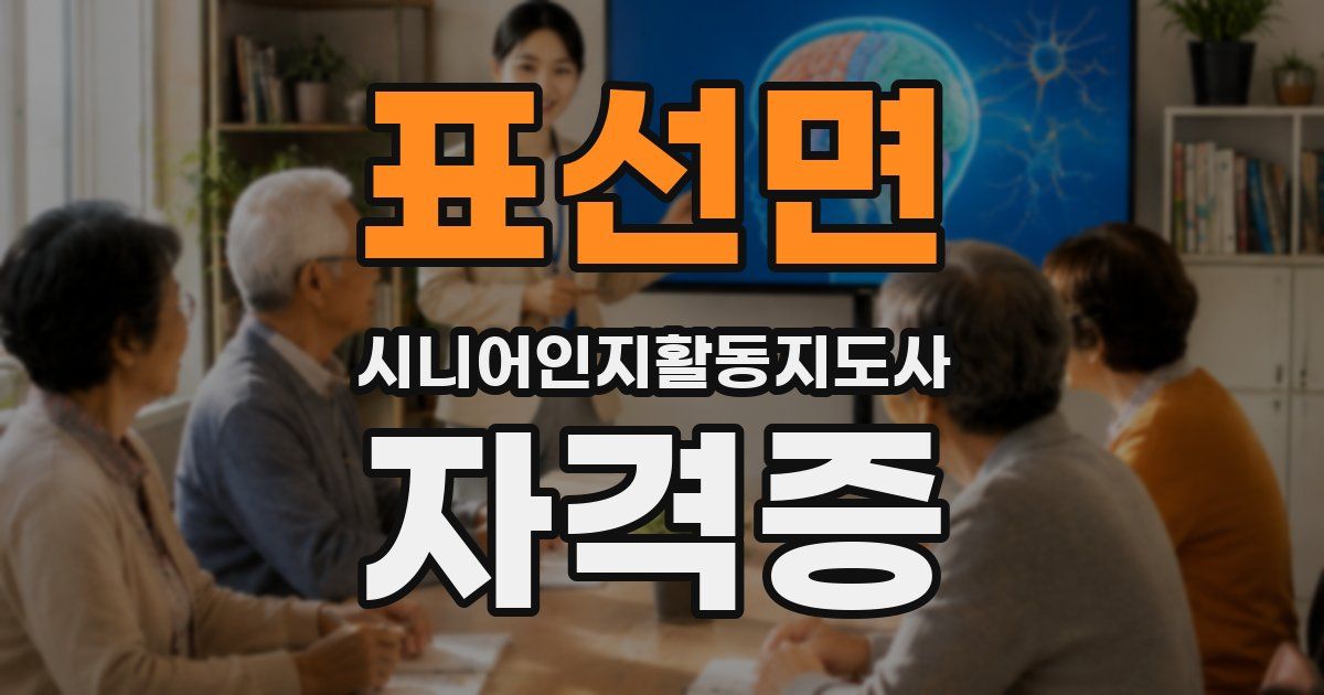 표선면 시니어인지활동지도사 자격증