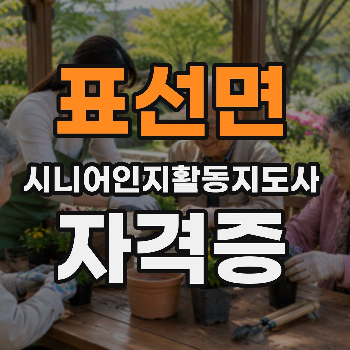 표선면 시니어인지활동지도사 자격증