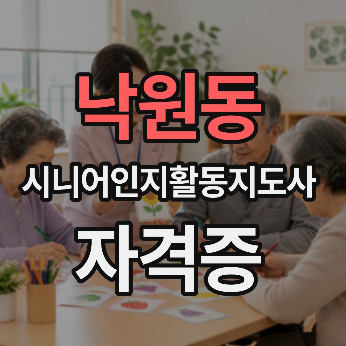 낙원동 시니어인지활동지도사 자격증