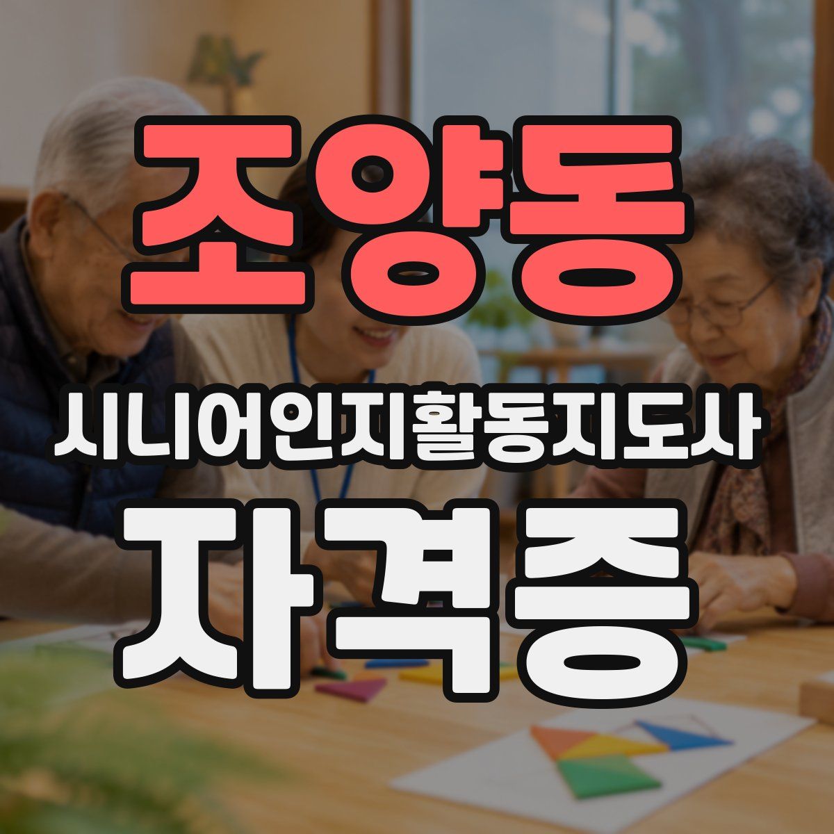 조양동 시니어인지활동지도사 자격증
