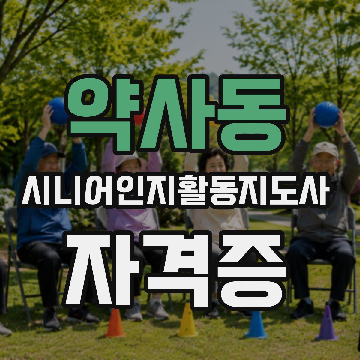 약사동 시니어인지활동지도사 자격증