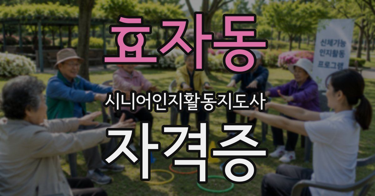 효자동 시니어인지활동지도사 자격증