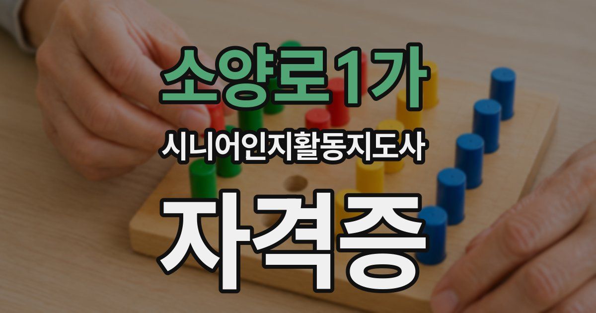 소양로1가 시니어인지활동지도사 자격증