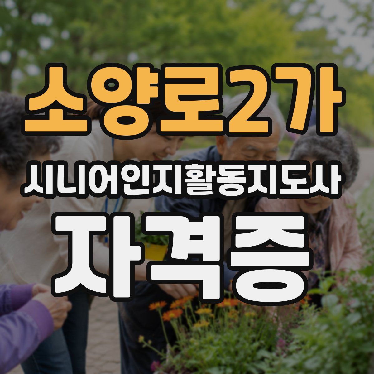 소양로2가 시니어인지활동지도사 자격증