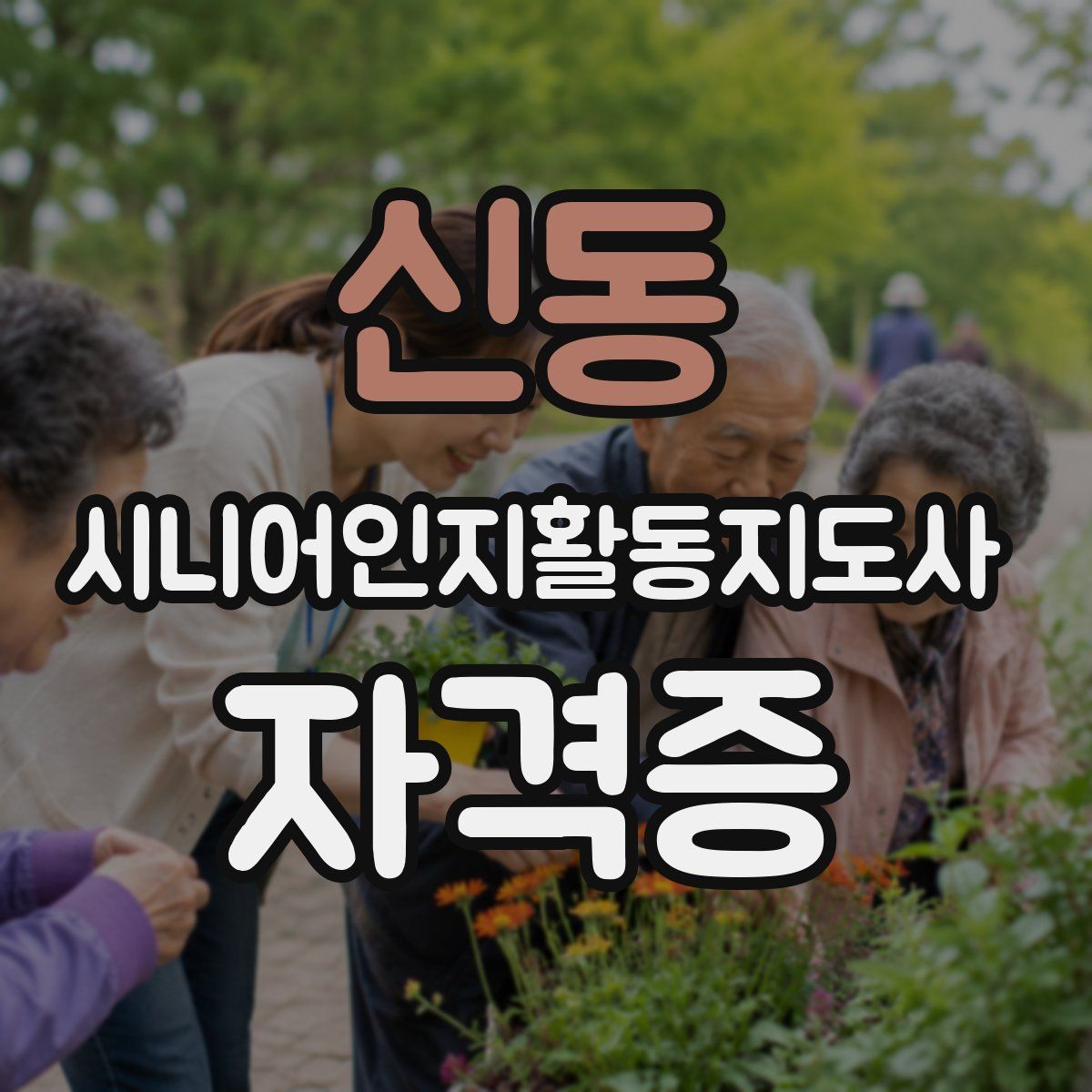 신동 시니어인지활동지도사 자격증