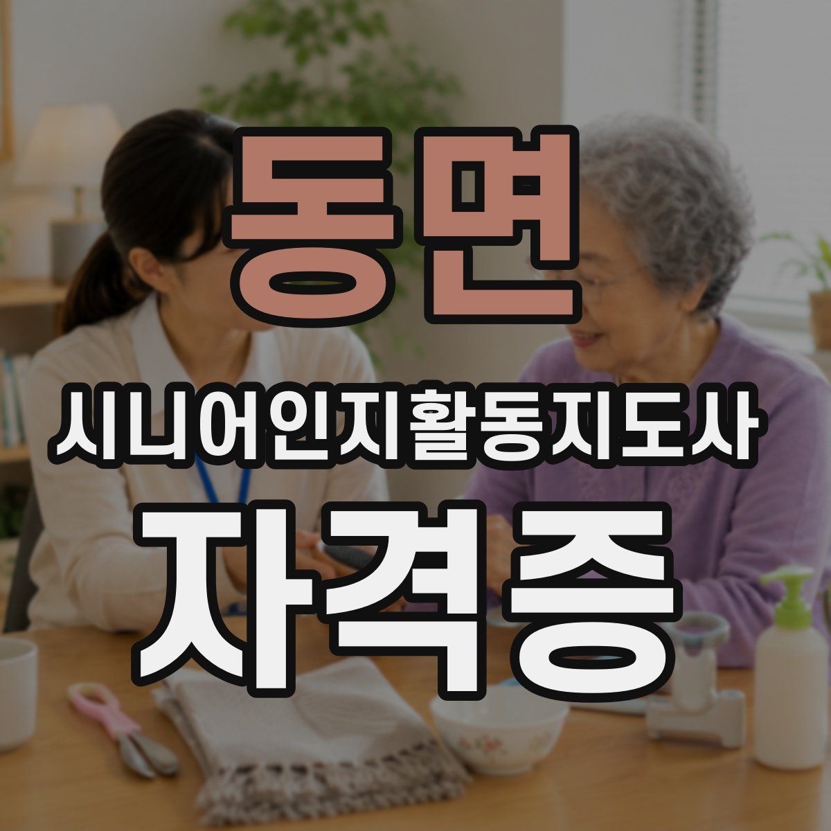 동면 시니어인지활동지도사 자격증