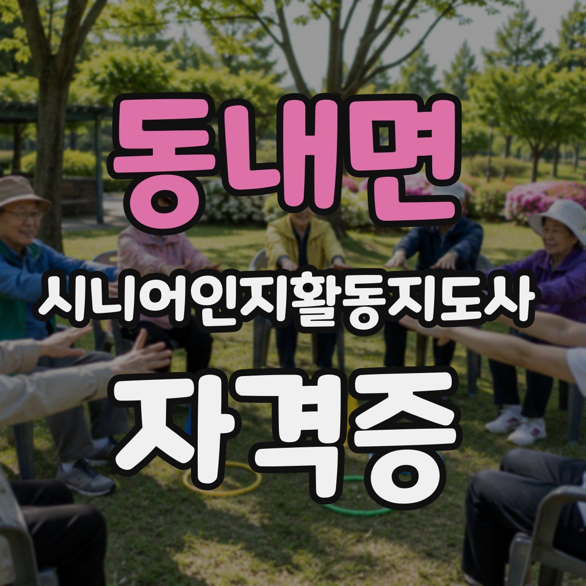 동내면 시니어인지활동지도사 자격증