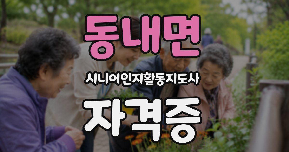 동내면 시니어인지활동지도사 자격증