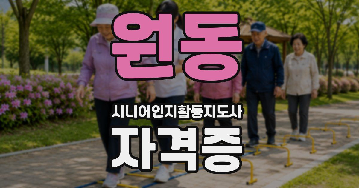 원동 시니어인지활동지도사 자격증