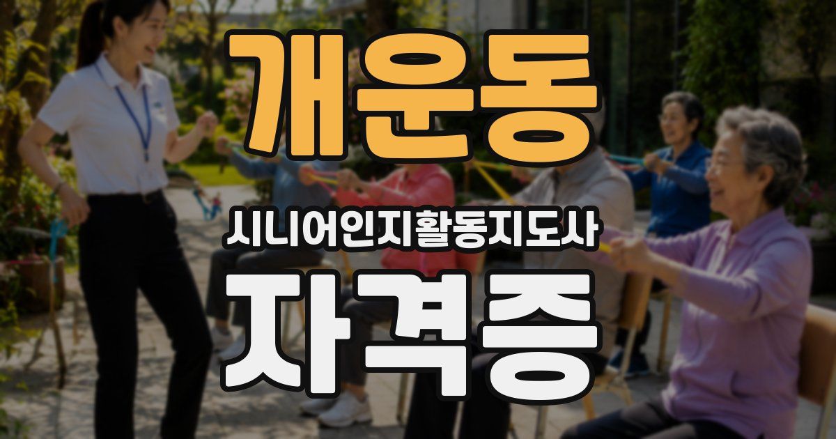 개운동 시니어인지활동지도사 자격증
