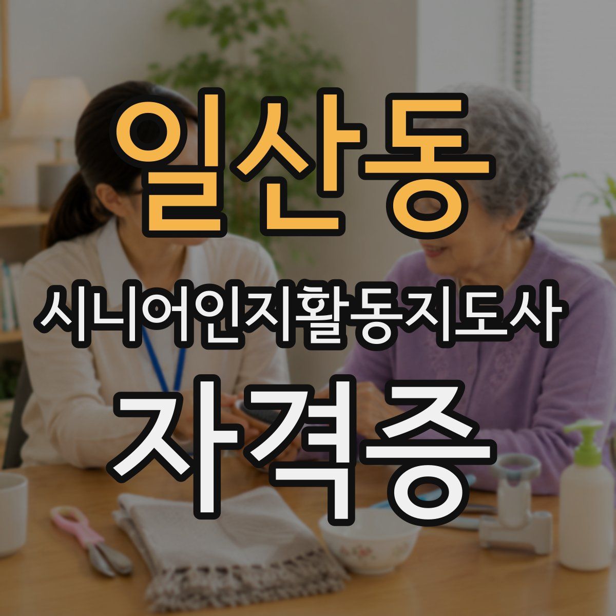 일산동 시니어인지활동지도사 자격증