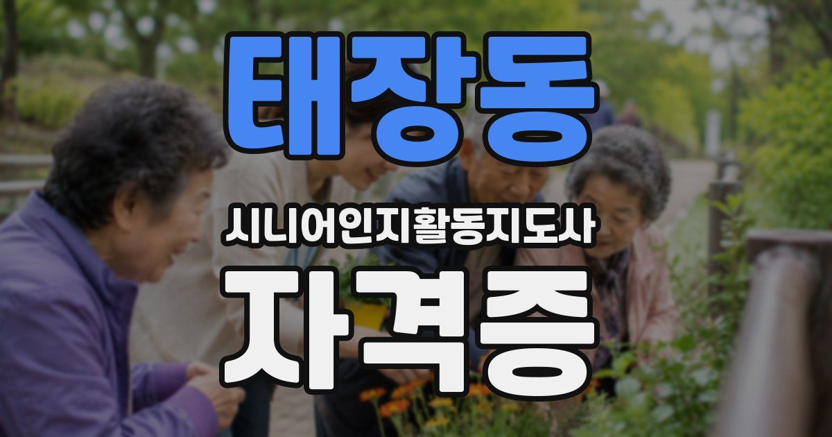 태장동 시니어인지활동지도사 자격증