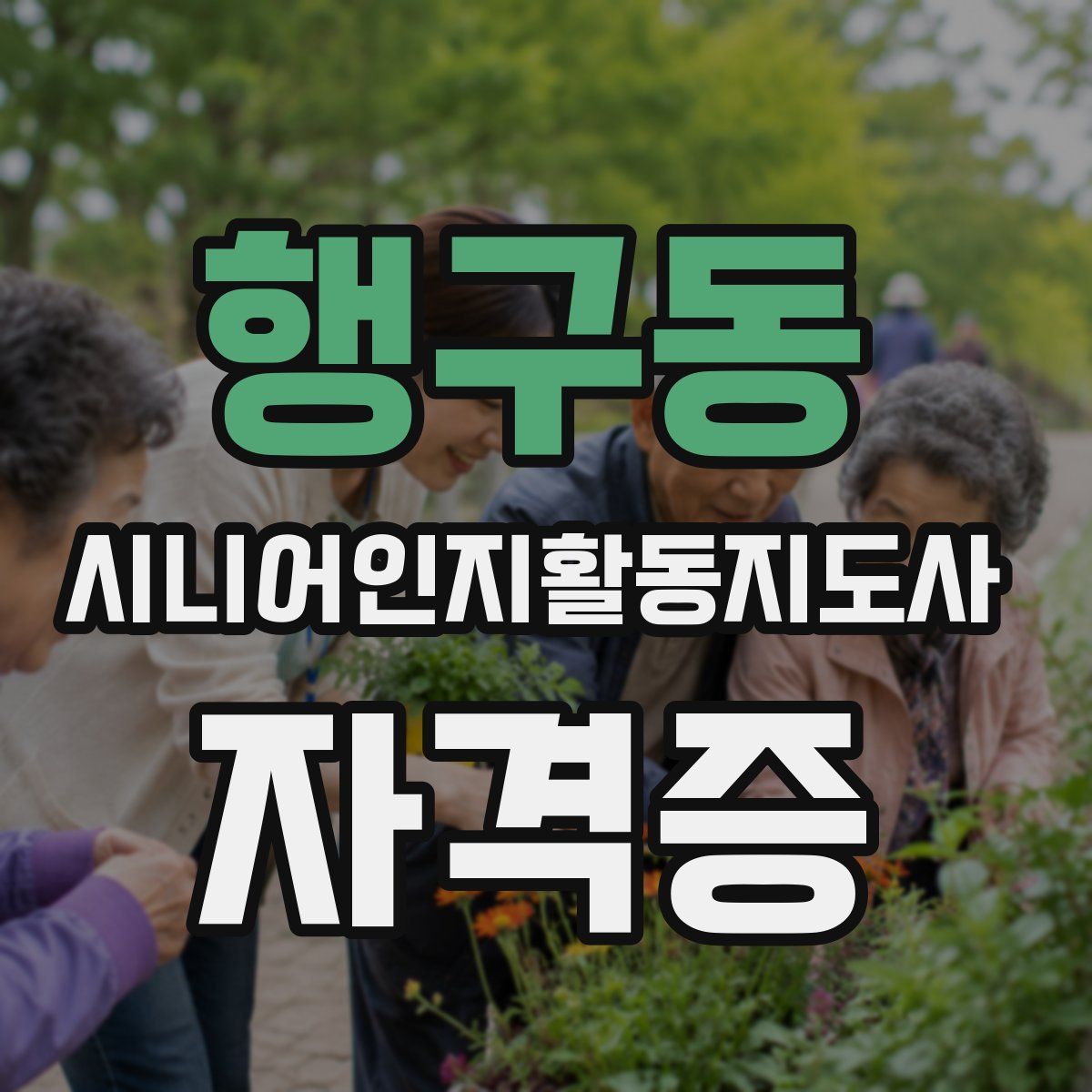 행구동 시니어인지활동지도사 자격증