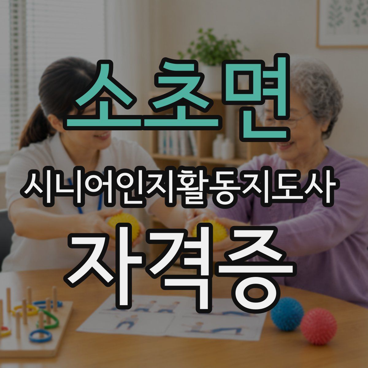 소초면 시니어인지활동지도사 자격증