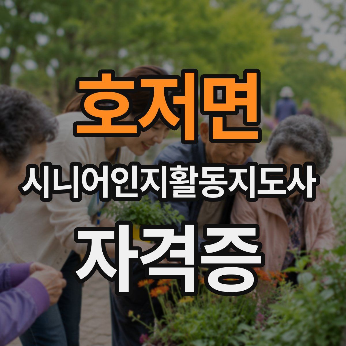 호저면 시니어인지활동지도사 자격증