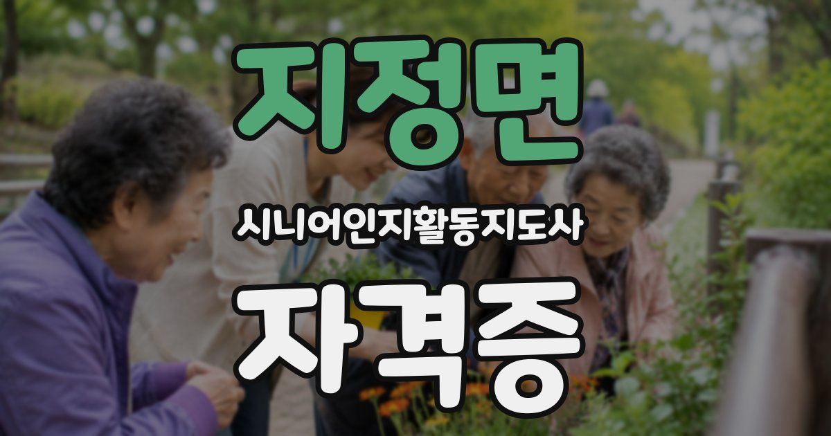 지정면 시니어인지활동지도사 자격증