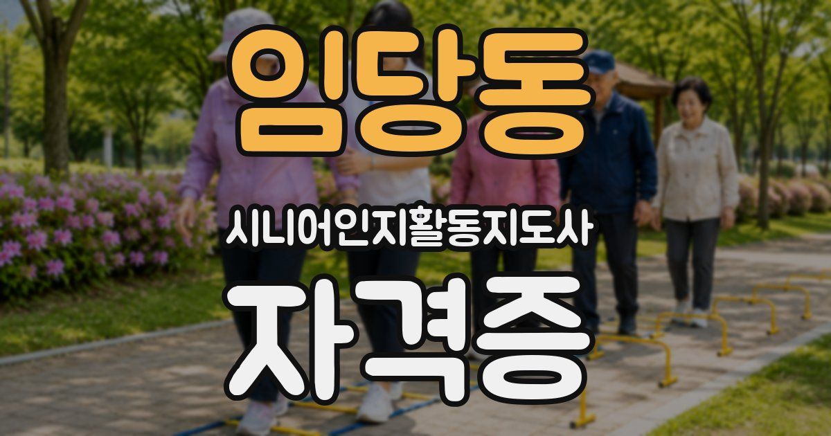 임당동 시니어인지활동지도사 자격증