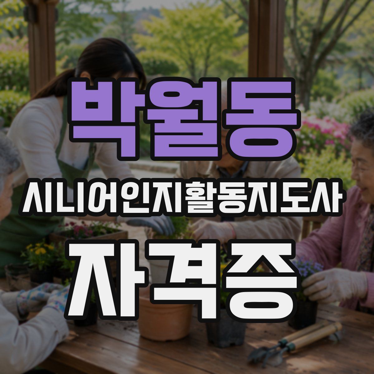 박월동 시니어인지활동지도사 자격증