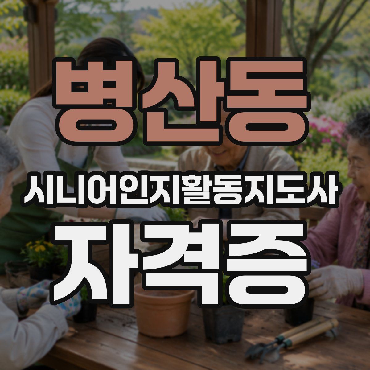 병산동 시니어인지활동지도사 자격증