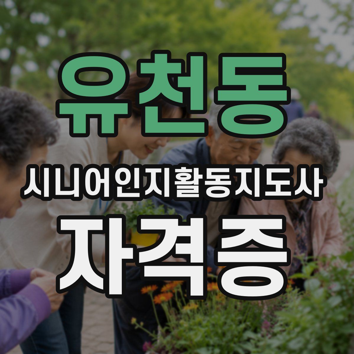 유천동 시니어인지활동지도사 자격증