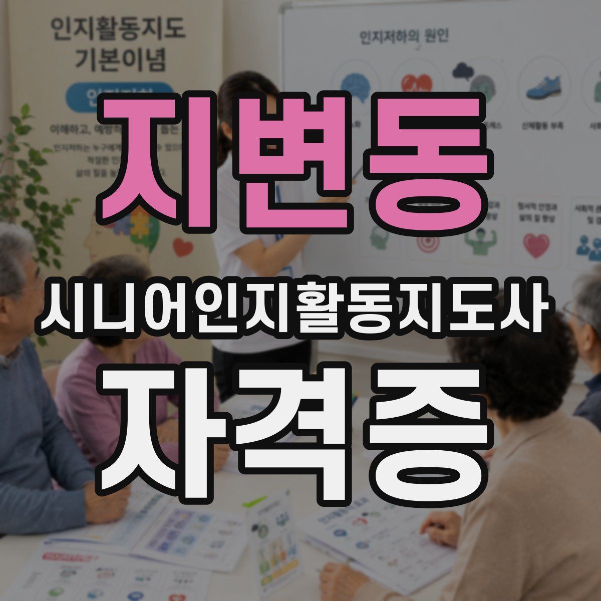 지변동 시니어인지활동지도사 자격증