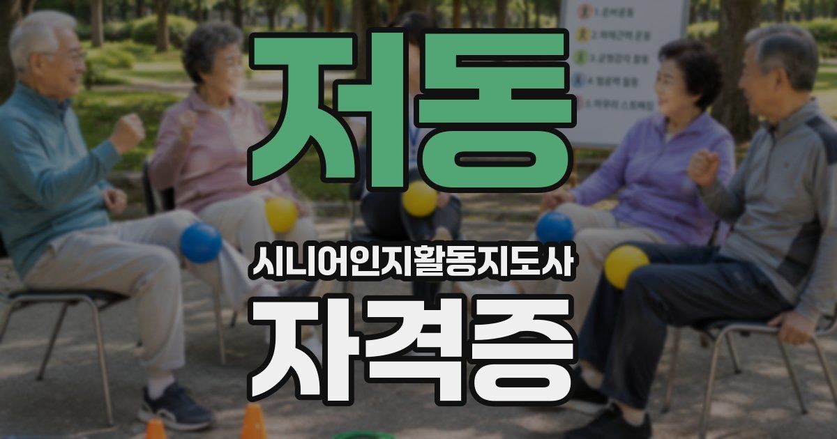 저동 시니어인지활동지도사 자격증