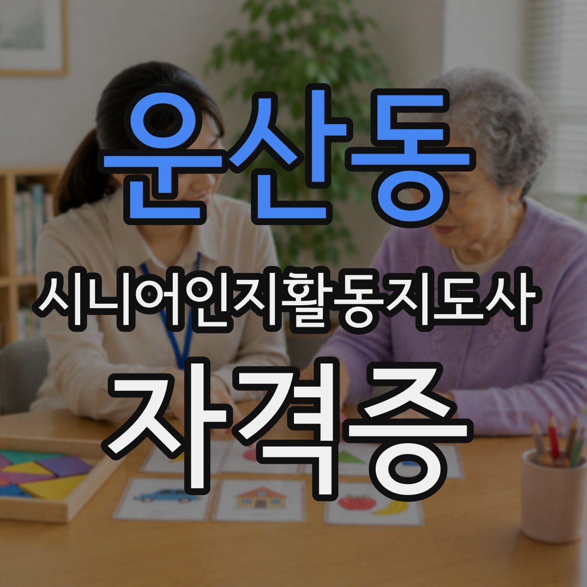 운산동 시니어인지활동지도사 자격증