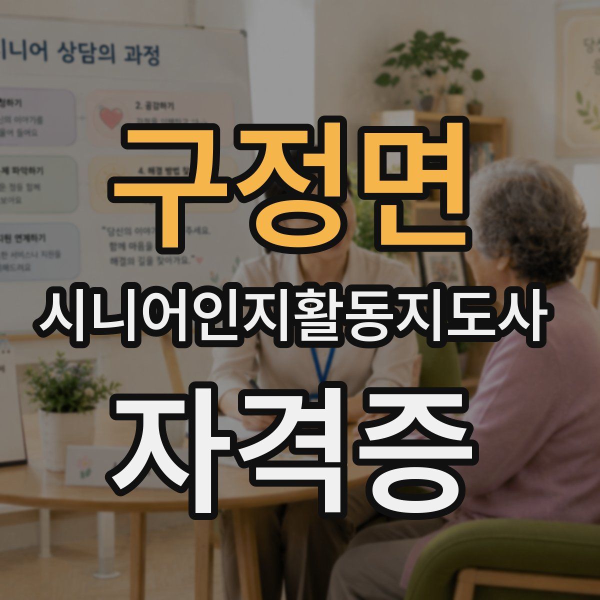 구정면 시니어인지활동지도사 자격증