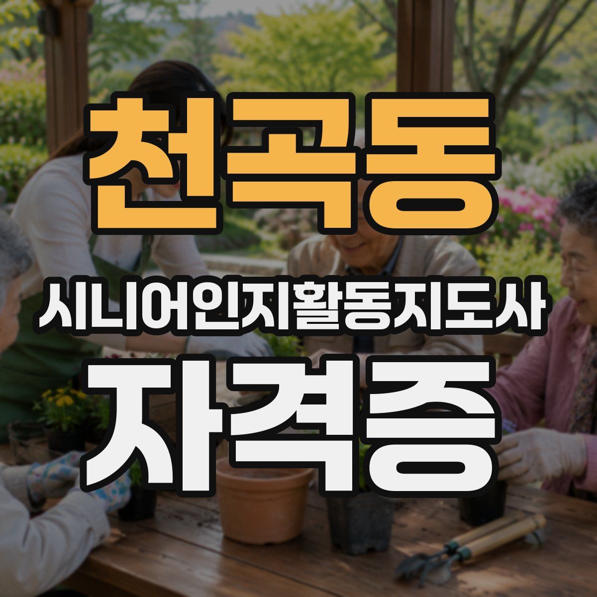 천곡동 시니어인지활동지도사 자격증